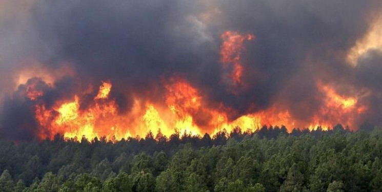 Meşələrin yanğın təhlükəsizliyi