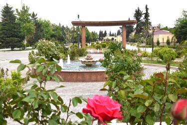 İmişlinin müasir parkları və yaşıllıq sahələri