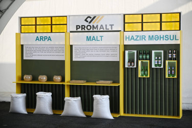Promalt emalı zavodu