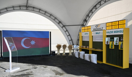 Promalt emalı zavodu